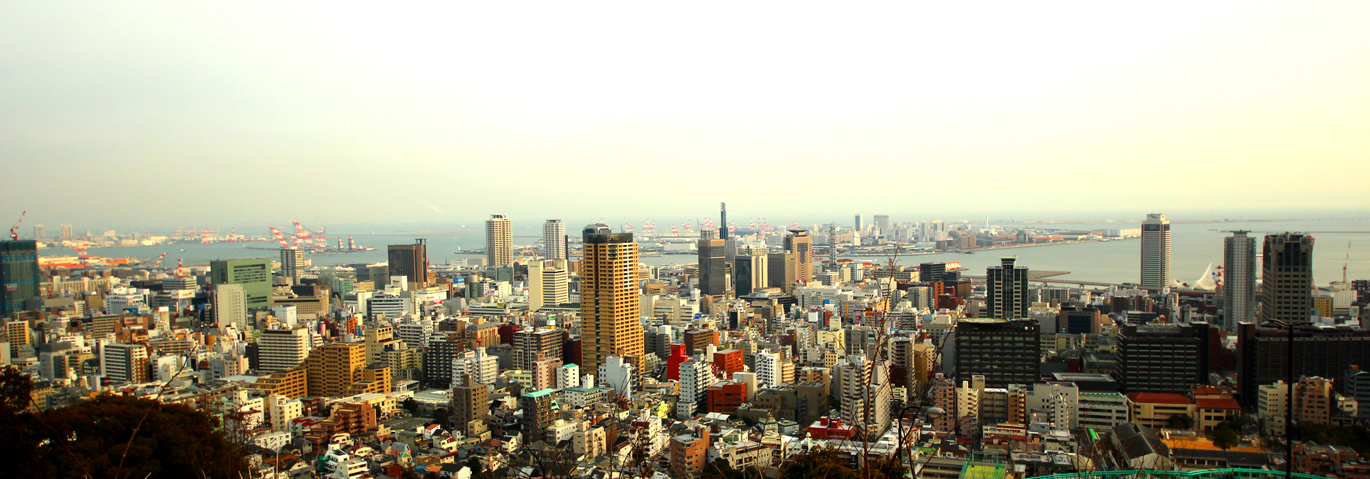 ビーナスブリッジ昼の景色